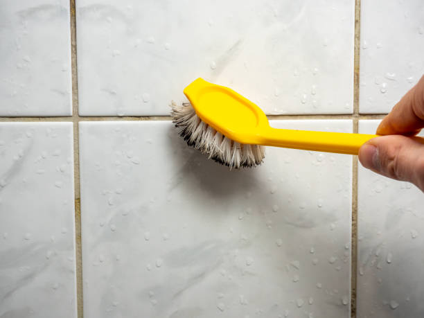 Tupelo, MS Mold Removal Pros