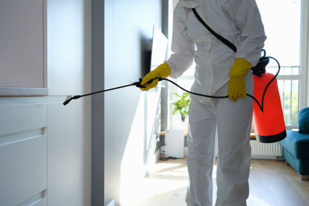 Best Mold Testing  in Tupelo, MS