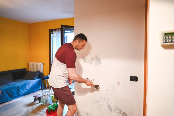 Best Local Mold Removal Service  in Tupelo, MS